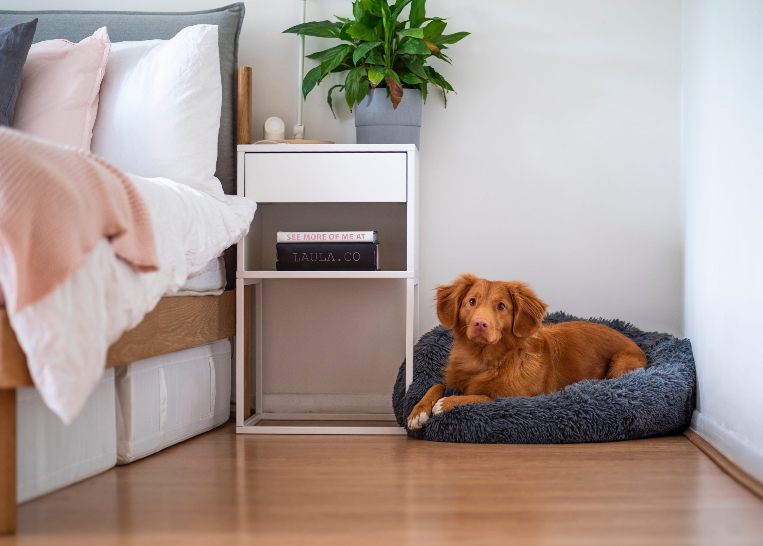 Laminaat in jouw huis leggen? Tips & Tricks